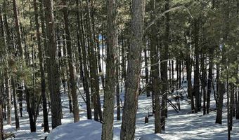 Lot 60 San Andres Dr, Angel Fire, NM 87710