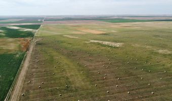 County Road 3P, Arriba, CO 80804