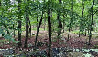 TR D-15 DEER PATH Road, Augusta, WV 26704