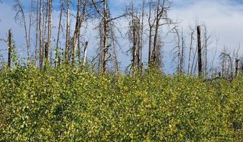 0 Crystal Mountain Rd, Bellvue, CO 80512