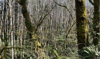 Northrup Creek Rd, Birkenfeld, OR 97016