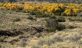 DUANE Street, Abiquiu, NM 87510