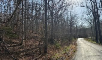 PAYNES POND RD, Arvonia, VA 23004