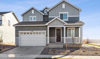 1354 Bloom St, Brighton, CO 80601