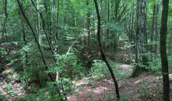 0 Cedar Ln, Alexander City, AL 35010