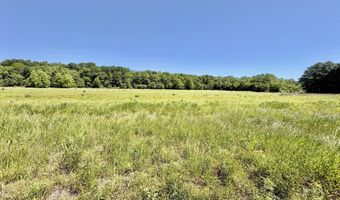 Jenkins Road, Alligator, MS 38720