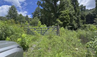 TBD Paint Fork Rd, Barnardsville, NC 28709