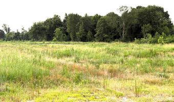 1071 LR 3, Ashdown, AR 71822