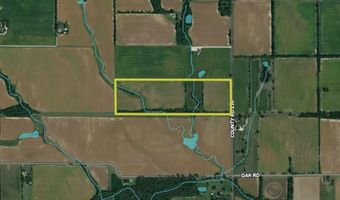 290 CR, Asbury, MO 64832