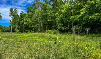 178 Mule Pulling Rd, Belden, MS 38863