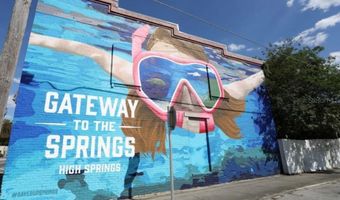 24415 NW 90TH Pl, Alachua, FL 32615