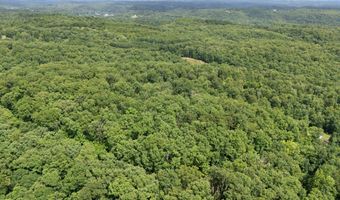 2401 Bell Point Rd, Beattyville, KY 41311