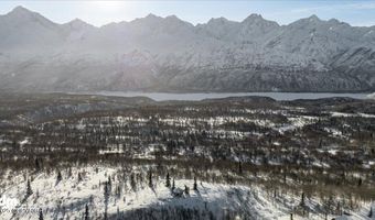 45161 Glenn Hwy, Chickaloon, AK 99674