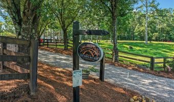 3204 Reavis Mountain Rd, Ball Ground, GA 30107