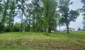 Overlook Ridge, Big Sandy, TN 38221