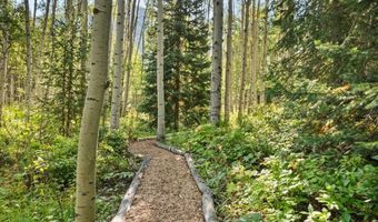 9555 Castle Creek Rd, Aspen, CO 81611