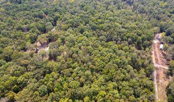 15203 Fast Ln, Alexander, AR 72002