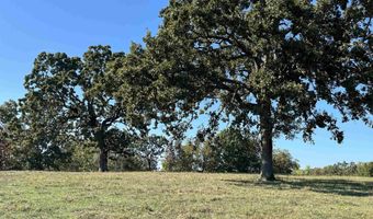 000 County Road 113, Alton, MO 65606