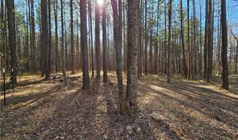 13 Acres Pridesville Rd, Amelia, VA 23002