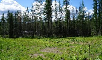 NKA Meadowland Drive, Blanchard, ID 83804