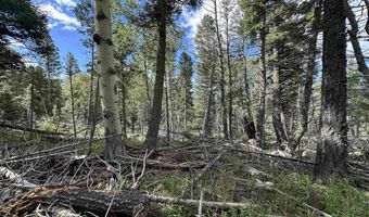 Lot 1437 Cheerful Way, Angel Fire, NM 87710