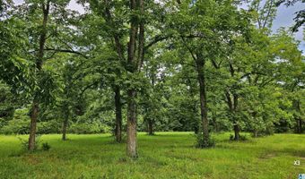 22880 OLD WEEKLY ROAD Lot 40 Acres, Bay Minette, AL 36507