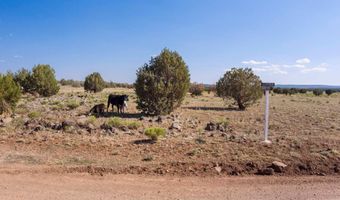 W Conwayden Road, Ash Fork, AZ 86320