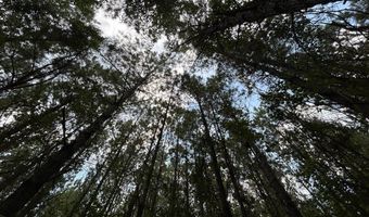 3951 MS-42, Bassfield, MS 39421