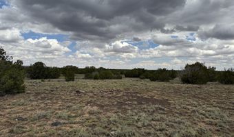 214 CR 8051, Concho, AZ 85924