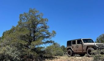 307 Of Old Deputy Shortline, Ash Fork, AZ 86320