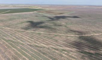 364 14 Acres Pullman Rd, Amarillo, TX 79118