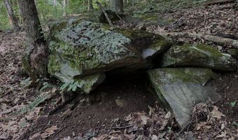 TBD Paint Fork Rd, Barnardsville, NC 28709