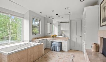 209 Larkspur Ln, Aspen, CO 81611