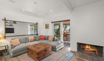 910 W Hallam St 11, Aspen, CO 81611