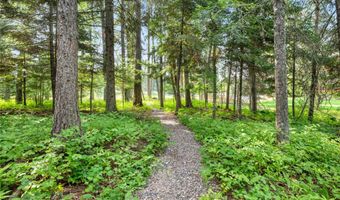 172 178 Swanlea Rd S, Bigfork, MT 59911