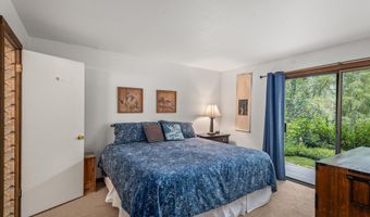 824 E Hopkins Ave 102 and 202, Aspen, CO 81611