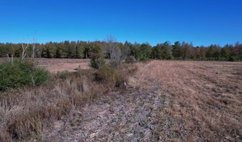 53 86 Acres-TBD Pate Rd, Bishopville, SC 29010