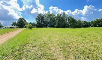 3945 Old Trezevant Rd, Atwood, TN 38220