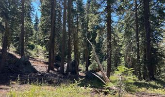 2 Blue Rock Trl, Arnold, CA 95223