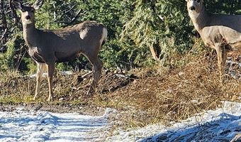 Tract B1, Anaconda, MT 59711