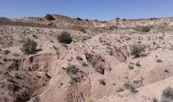 210-06 005 & 206-51-136, Chambers, AZ 86502