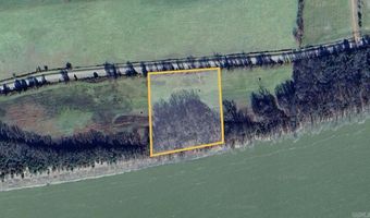 Tract 8 Hwy 105 S, Atkins, AR 72823
