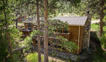 348 Crown Point Dr, Bellvue, CO 80512