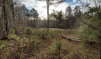0 County Road 93, Bankston, AL 35554