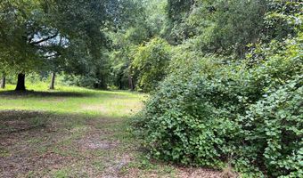 227 County Road 102, Abbeville, AL 36310