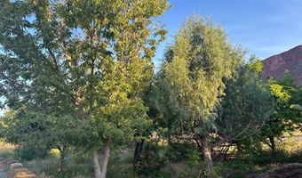 9 CHAMISA, Castle Valley, UT 84532