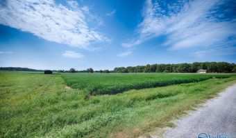 30 Acres Stevenson Rd, Ardmore, TN 38449