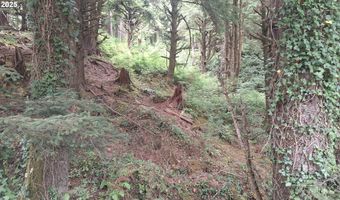 Picture Windw Lane, Arch Cape, OR 97102