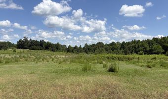 Beauty Hill Rd lot 4, Bethel Springs, TN 38315