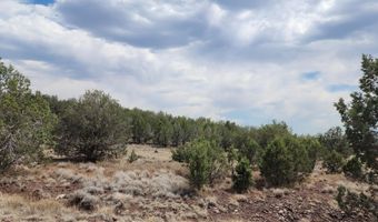 2544 N Double A Rnch Rd, Ash Fork, AZ 86320